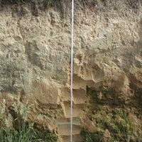 2024 Tatty Bogler Pinot Gris