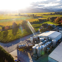 2023 Forrest Pinot Gris