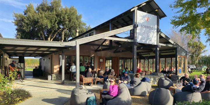 Cosy Sunday Sessions at Forrest Wines